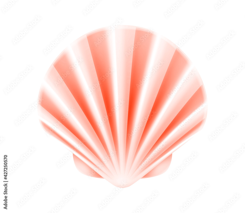 Seashell, marine bivalve mollusk, scallop, sea clam. 3d realistic vector illustration, isolated on white background.