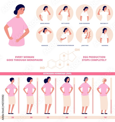 Estrogen hormone level. Hormones diagram, female natural biological life chart. Medical menopause age levels, gynecology science utter vector poster