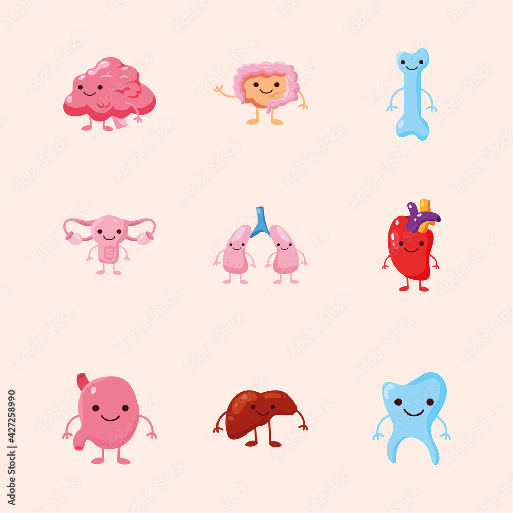 Fototapeta premium comic nine organs