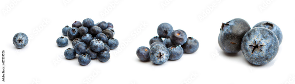Berry Fruit -Isolated on White - American Blueberry Berry Fruit -Isolated on White - American Blueberry