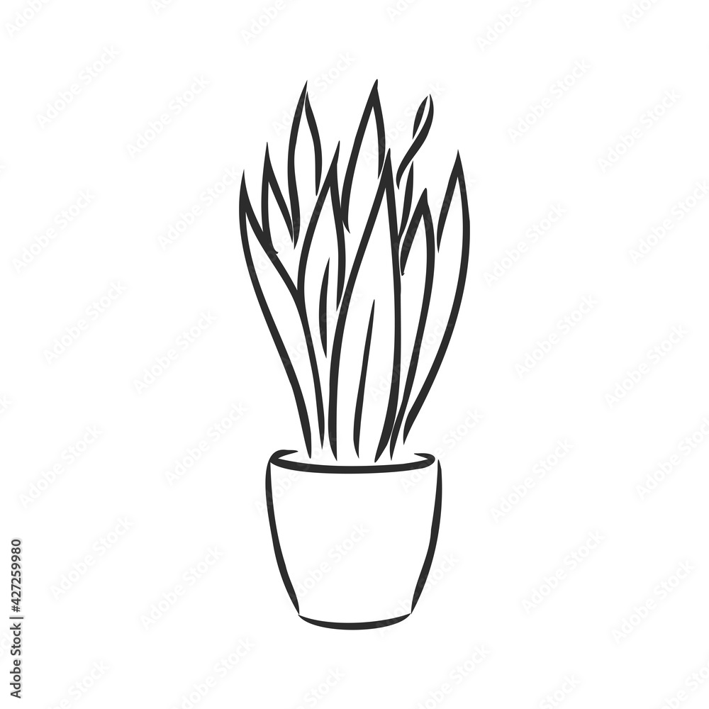 Line art plant in pot. Contour drawing. Isolated potted florals illustration. indoor plant vector sketch illustration Line art plant in pot. Contour drawing. Isolated potted florals illustration. indoor plant vector sketch illustration