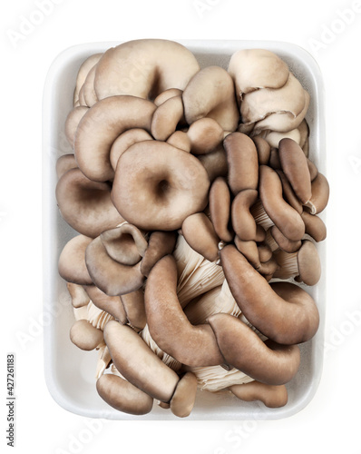 Oyster mushrooms in packaging on a white background, isolated The view from top