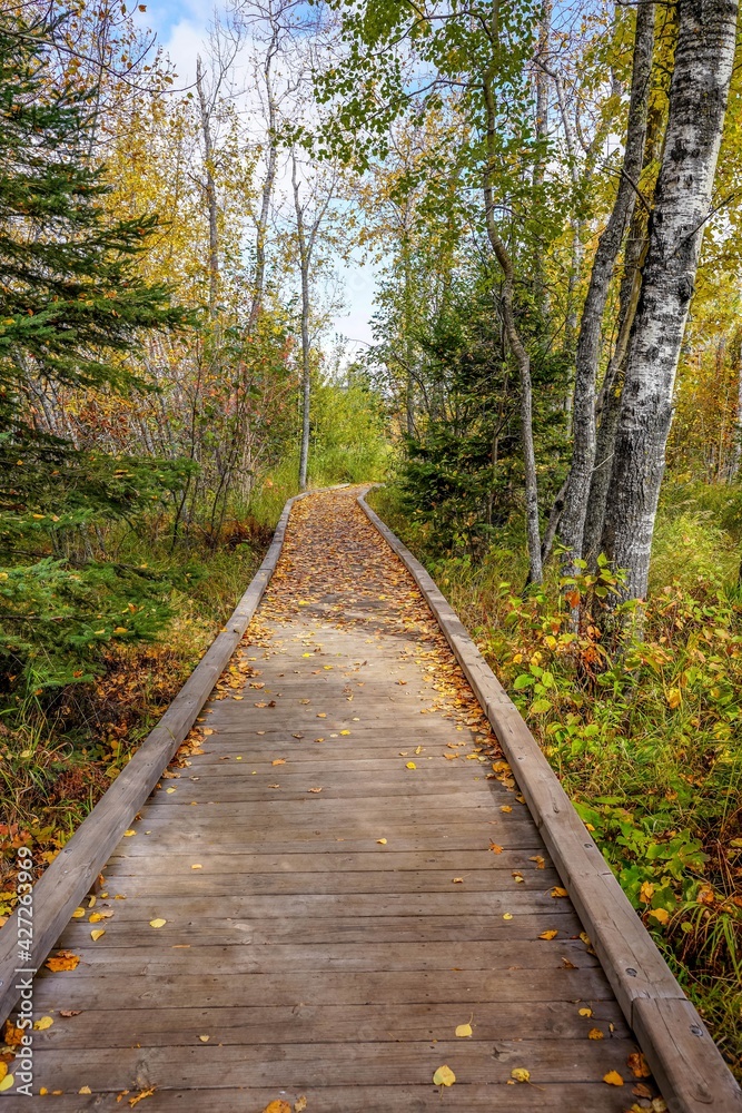 Fototapeta premium Wooden trail at Tettegouche State Park in northern Minnesota along Lake Superior 