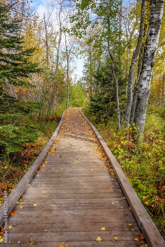 Wooden trail at Tettegouche State Park in northern Minnesota along Lake Superior 