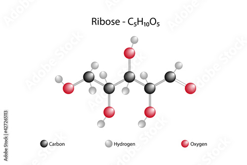Molecular structure of ribose. Chemical formula of ribose. Monosaccharide. Pentose. photo