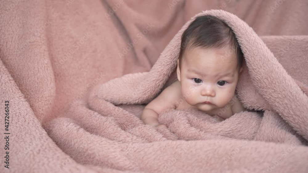 portrait of 3 months asian baby infant crawling on soft fur blanket. copy space provided. portrait of 3 months asian baby infant crawling on soft fur blanket. copy space provided.