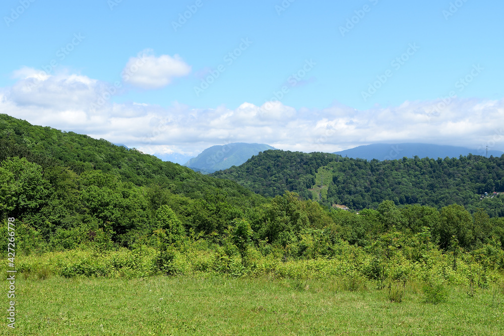 high blue sky with rare clouds. mountains with green trees, field with low dense grass high blue sky with rare clouds. mountains with green trees, field with low dense grass