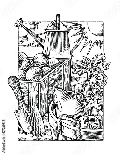 black and white illustration of vegetable harvest