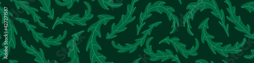 Seamless pattern with arugula leaves on dark background. Green floral horizontal border. Vector illustration.