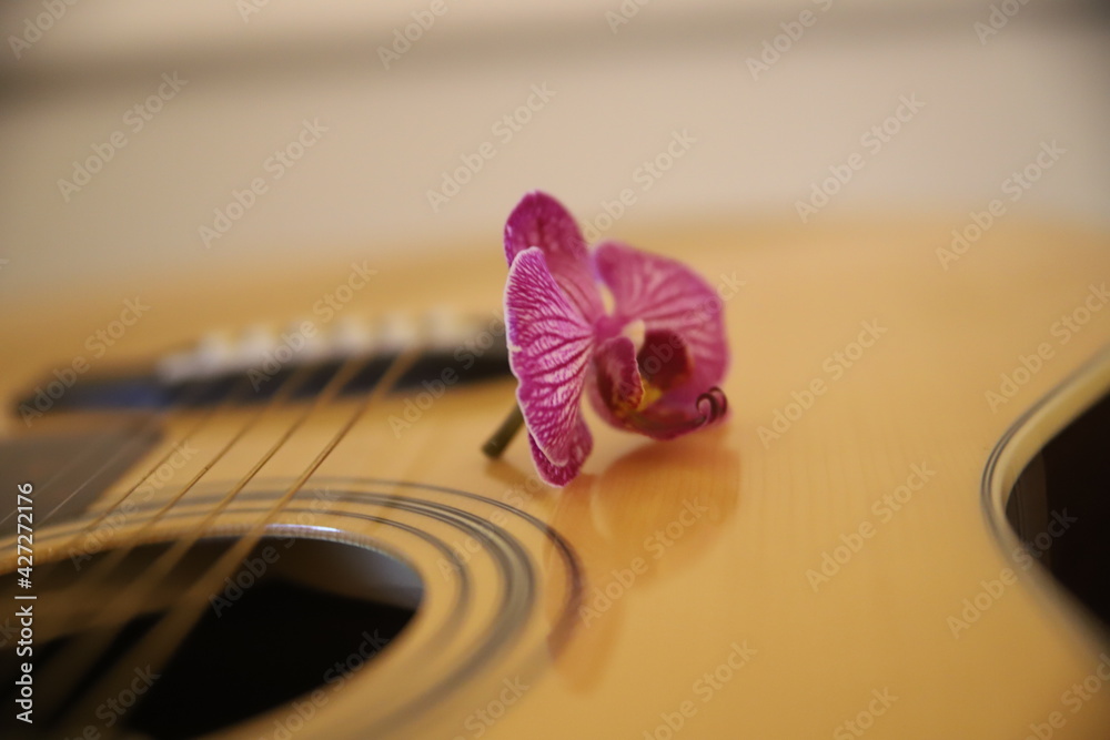kwiat Piękna gitara akustyczna gryf drewno struny gitarzysta - obrazy, fototapety, plakaty 