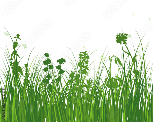 Картината върху платно Green Grass Meadow