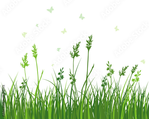 Green Grass Meadow