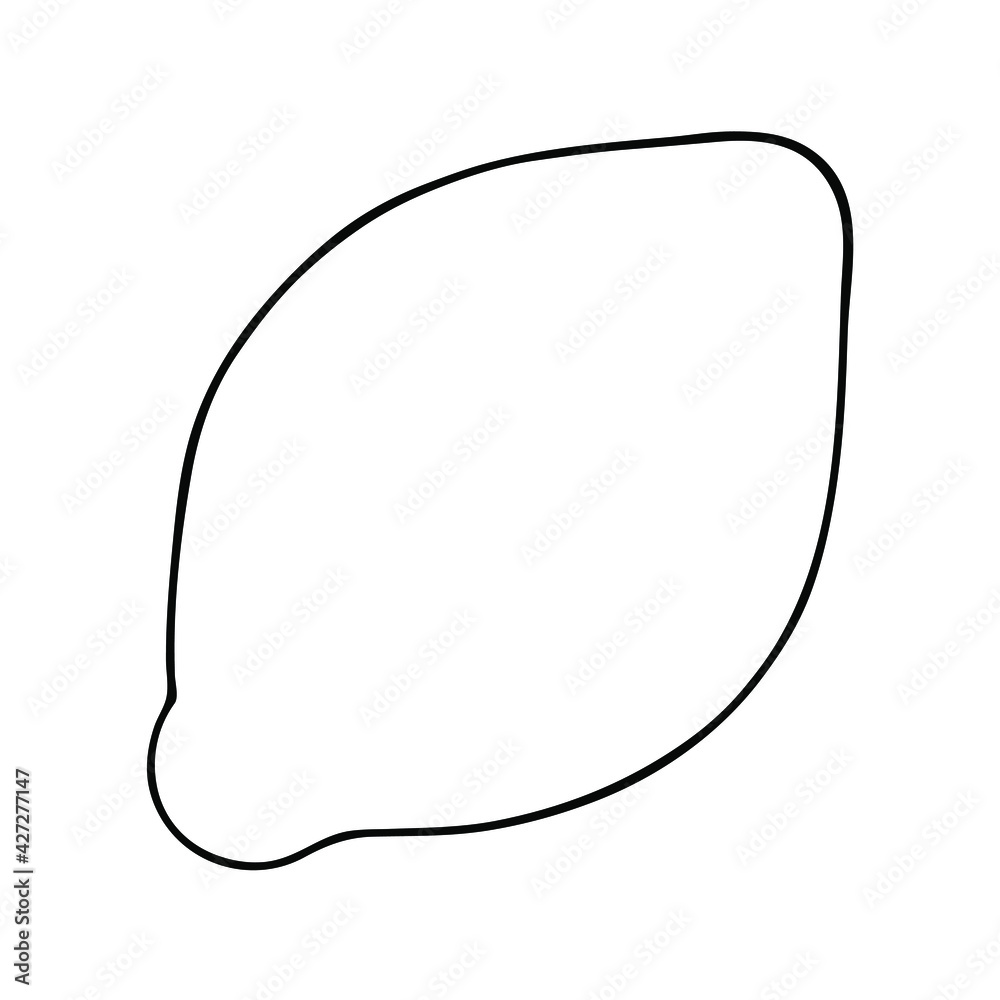 Citrus lemon fruit line art icon. Isolated on a white background. Citrus lemon fruit line art icon. Isolated on a white background.