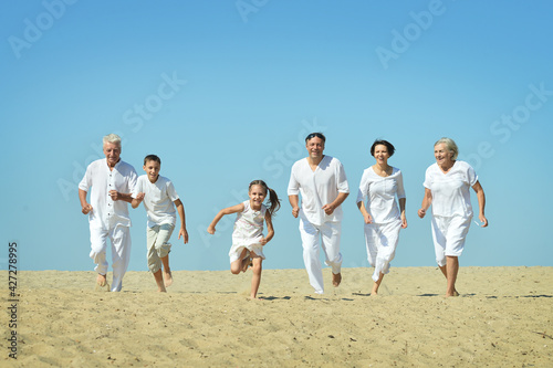 portrait of happy family on beach