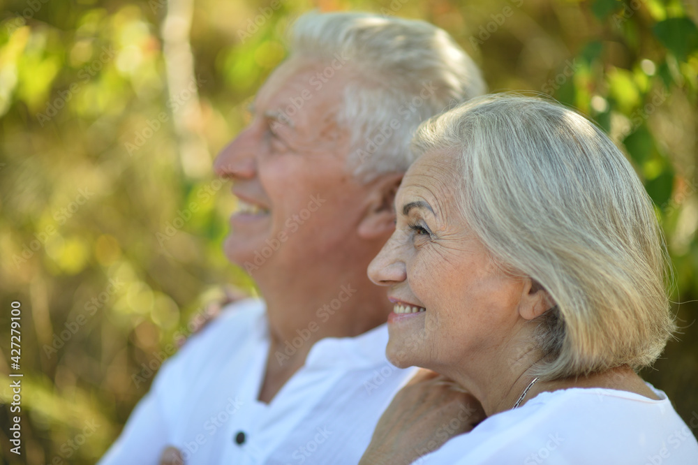 portrait of a happy senior couple in the park portrait of a happy senior couple in the park