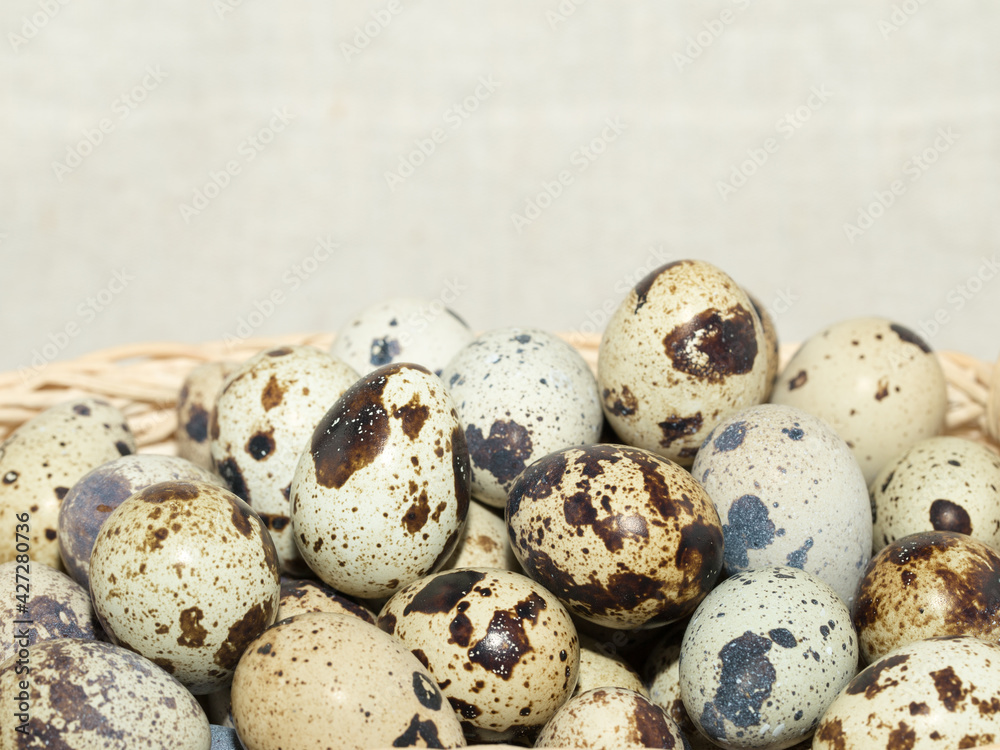 Fototapeta premium Fresh quail eggs for a healthy diet