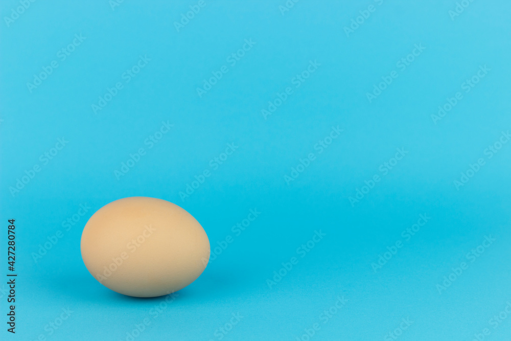 Chicken egg on a blue background, place for text Chicken egg on a blue background, place for text