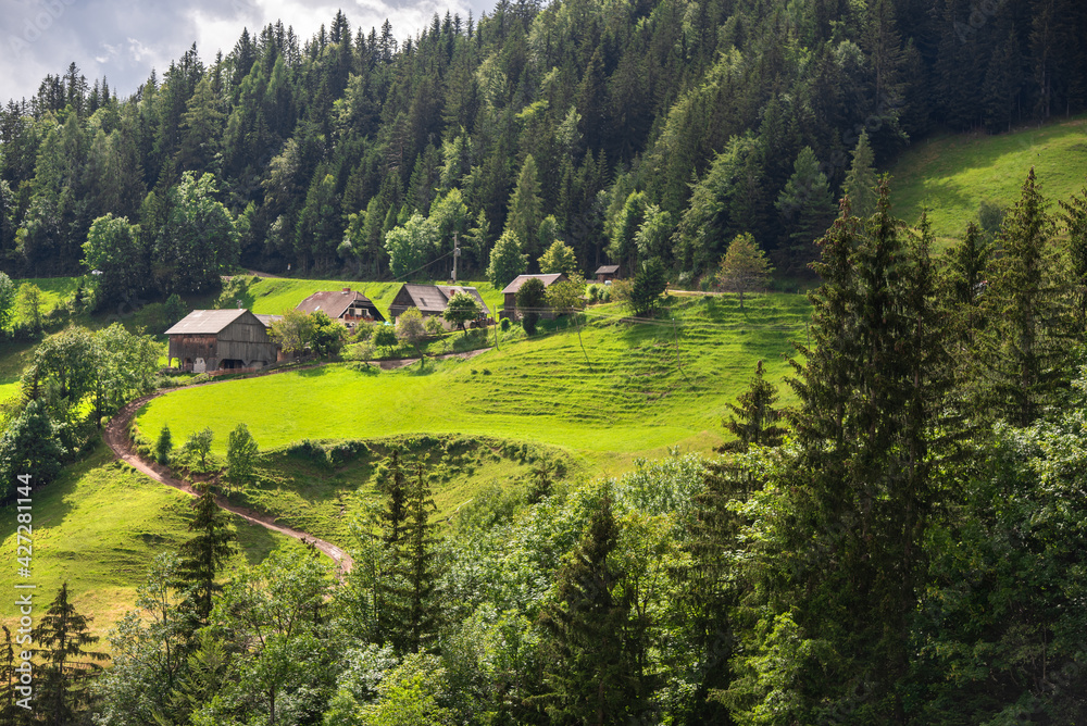 Beautiful summer view of amazing Slovenia nature. Logarska Dolina and Solcava panoramatic road. 