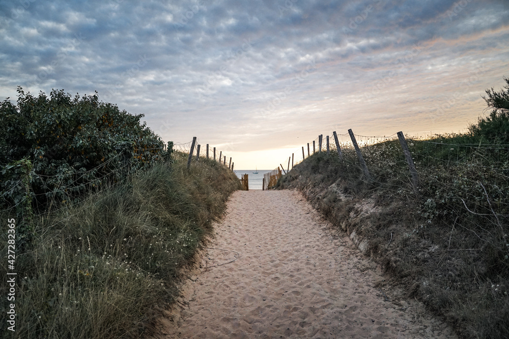 Chemin vers la plage et l'océan