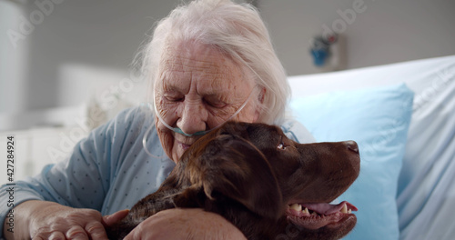 Close up portrait of aged woman patient hugging and stroking dog in clinic room
