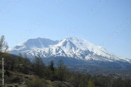 The beautiful scenery of the Gifford Pinchot National Forest with Mount St. Helens in the background, pacific northwest, Washington State.