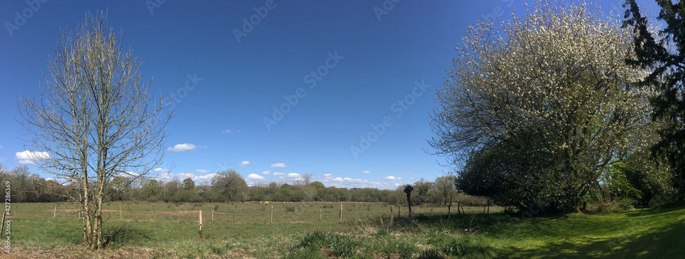 la campagne à Barré Nevez en Bretagne Cornouailles Finistère France	