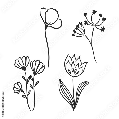 Ink  pencil  the leaves and flowers of apple isolated. Line art transparent background. Hand drawn nature painting. Freehand sketching illustration.