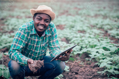 African farmer using tablet for  research soil in organic farm.Agriculture or cultivation concept photo
