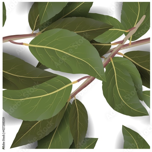 Bay leaf in abstract style. Beautiful pattern with bay leaf. Vector seamless pattern.
