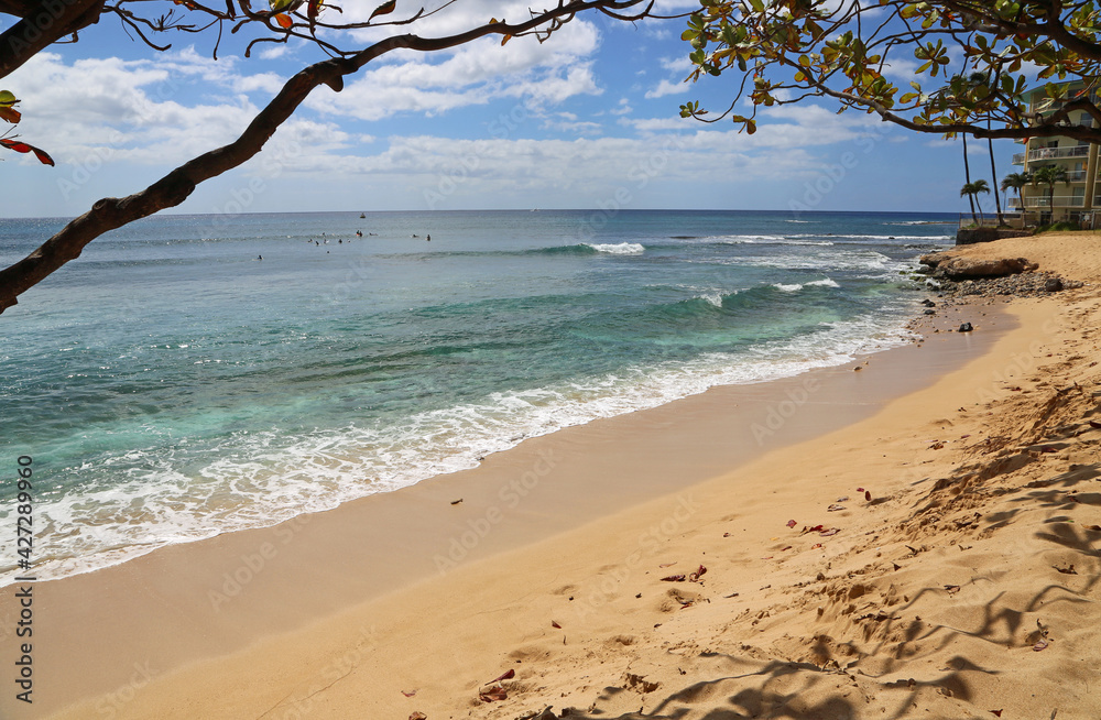 Under tree on Makaha Beach - Oahu, Hawaii Under tree on Makaha Beach - Oahu, Hawaii
