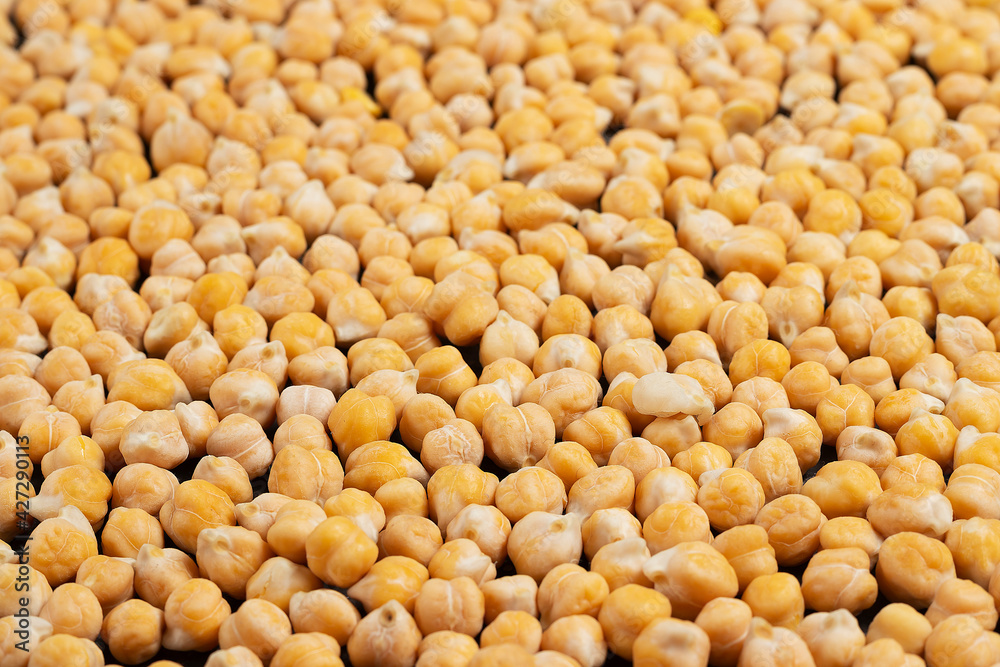 Lots of raw chickpea grains shot in perspective. Food background Lots of raw chickpea grains shot in perspective. Food background