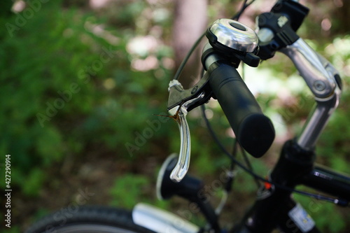 Schmetterling sitzt auf einem Fahrradlenker 