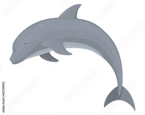 Dolphin jumping on a white background, isolated. Vector illustration.