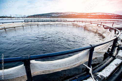 Fish farm for breeding for rainbow trout and salmon fry in net cages. Concept aquaculture pisciculture