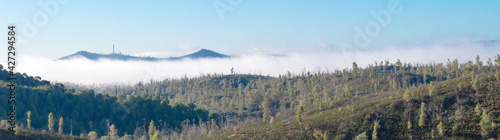 panoramica con bosque, monte y nubes bajas al amanecer