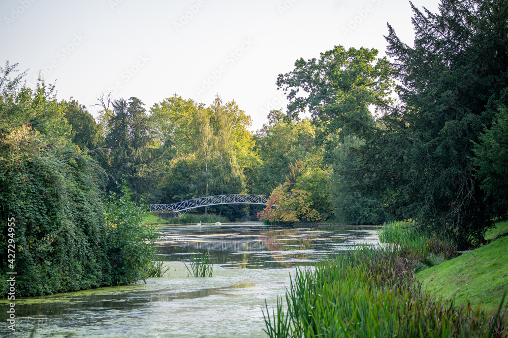 Fototapeta premium bridge over river