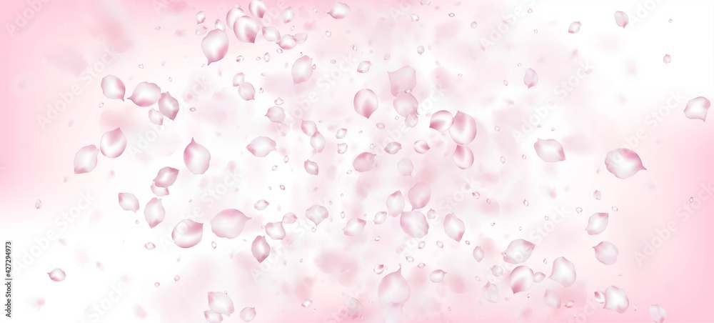 Cherry Sakura Petals Confetti. Flying Japanese Sakura Rose Cherry