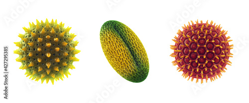 Set of microscopic pollen grains isolated on white. Pollen allergy is also known as hay fever or allergic rhinitis. photo