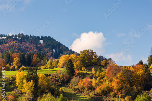 Fototapeta Naklejka Na Ścianę i Meble -  Allgäu - Herbst - Wald - Berg - bunt - Bäume 