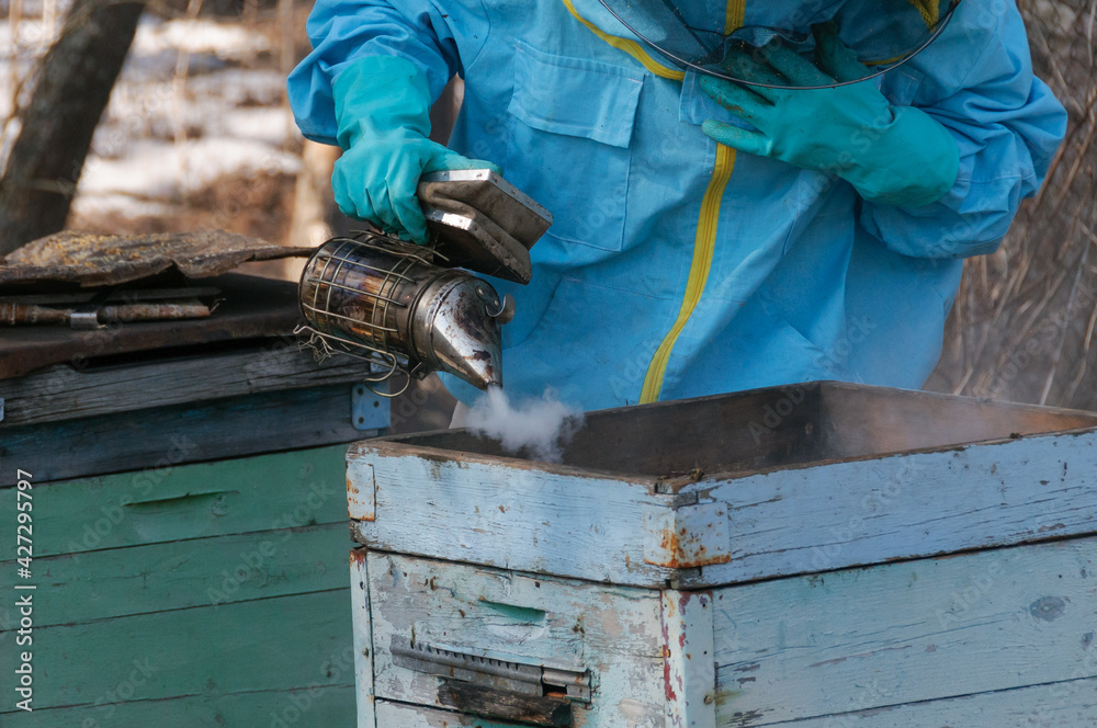 The beekeeper inspects the hives in the spring, scaring away the bees with smoke, close-up The beekeeper inspects the hives in the spring, scaring away the bees with smoke, close-up