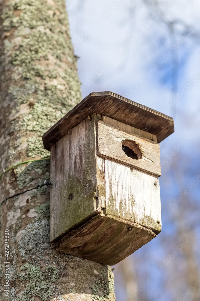 The birdhouse hangs on a tree trunk. House for birds. Protection of Nature. Protect birds. Close-up.