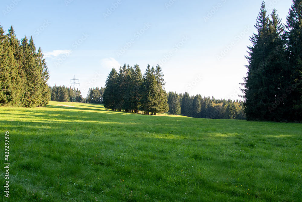 Wanderung auf dem Fernwanderweg Rennsteig im Thüringer Wald von Neustadt nach Limbach. Hier eine wunderschöne Lichtung mit sattem grünen Rasen.