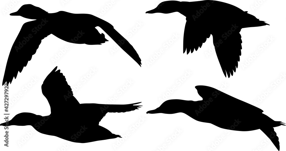 isolated four black silhouettes of ducks in flight isolated four black silhouettes of ducks in flight
