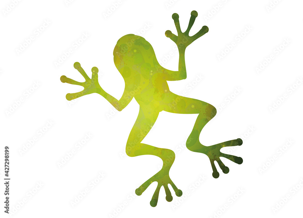 Fototapeta premium leuchtend grüne Laubfrosch Silhouette