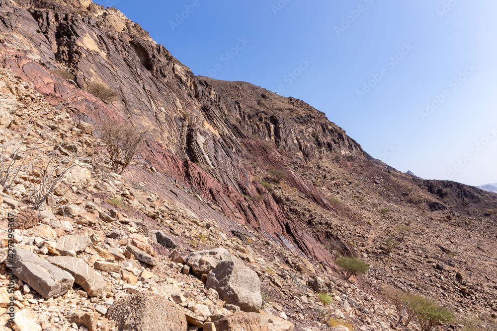 Hajar Mountains landscape, with limestone and dolomite rocks, rocky trail and barren trees, United Arab Emirates.