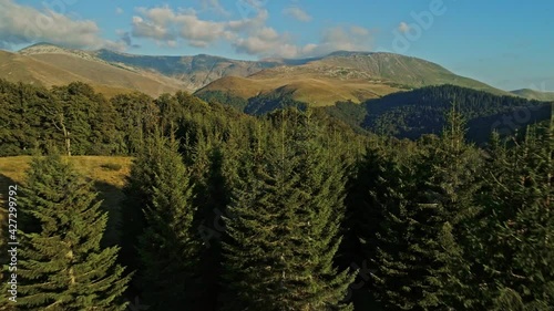 Push in aerial drone shot flying above the trees with Tarcului mountains in the background. Carpathian mountains, Romania. photo