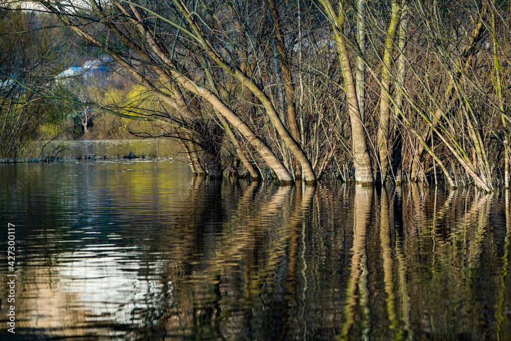 Beautiful landscape with three and river in Europe. Amazing nature in spring. Ideal resting place. Silent place