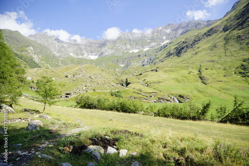 Wanderweg zum Abstieg zum Ortsteil Zeppichl von Pfelders in den Alpen, Südtirol
