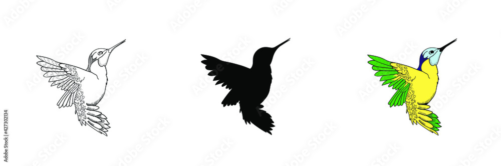 Vector logo design for birds and colibries of sophisticated and modern technology. Vector illustration. Set of three hummingbirds Vector logo design for birds and colibries of sophisticated and modern technology. Vector illustration. Set of three hummingbirds