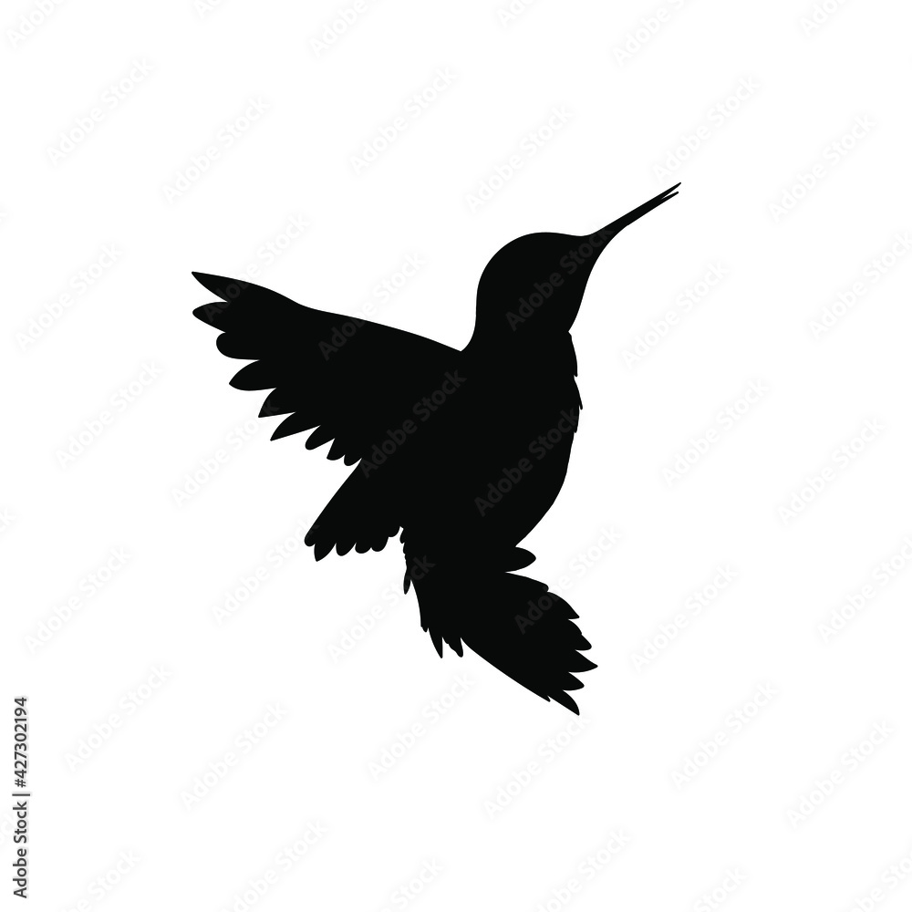 Obraz premium Hummingbird black glyph icon. Small exotic bird, Ecuador inhabitant. South and North America fauna. Zoology, ornithology silhouette symbol on white space. Tiny colibri vector isolated illustration.